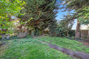 Photo 10- click for photo gallery